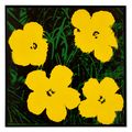 Andy Warhol — Цветы, изображение 2