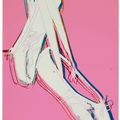 Andy Warhol — Балетные тапочки [Три работы], изображение 6