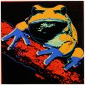 Andy Warhol — Древесная лягушка из сосновых пустошей, относящаяся к исчезающему виду, изображение 1