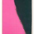 Andy Warhol — Тени II, изображение 3