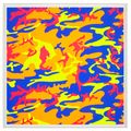 Andy Warhol — Камуфляж: один принт, изображение 2