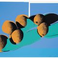 Andy Warhol — Космический фрукт: Натюрморты, изображение 2