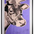 Andy Warhol — Корова, изображение 2