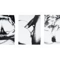 Andy Warhol — Половые органы : три отпечатка, изображение 1