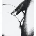 Andy Warhol — Половые органы : три отпечатка, изображение 4