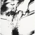 Andy Warhol — Половые органы (F. & S. II.172-177), изображение 2