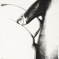 Andy Warhol — Половые органы (F. & S. II.172-177), изображение 3