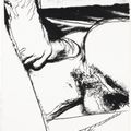 Andy Warhol — Половые органы (F. & S. II.172-177), изображение 6