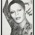 Andy Warhol — Дамы и господа, изображение 2