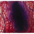 Anish Kapoor — Без названия, изображение 1