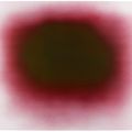Anish Kapoor — Поток Красный, изображение 3