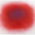 Anish Kapoor — Поток Красный, изображение 4