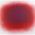 Anish Kapoor — Поток Красный, изображение 5