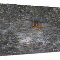 Anselm Kiefer — Путешествие до самой ночи, изображение 2