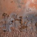 Anselm Kiefer — Аве Мария, изображение 3