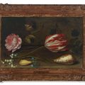 Balthasar Van Der Ast — Роза, тюльпан, насекомые и ракушка на выступе, изображение 2