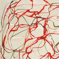 Brice Marden — Красно-зеленый рисунок 2 без названия, изображение 5