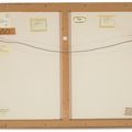 Brice Marden — Хьюстонский рисунок, изображение 3