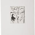 Brice Marden — Гравюры для Rexroth, изображение 11