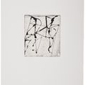 Brice Marden — Гравюры для Rexroth, изображение 12