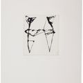 Brice Marden — Гравюры для Rexroth, изображение 13