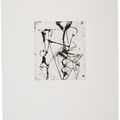 Brice Marden — Гравюры для Rexroth, изображение 14