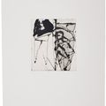 Brice Marden — Гравюры для Rexroth, изображение 17