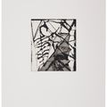 Brice Marden — Гравюры для Rexroth, изображение 18