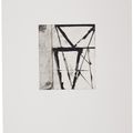 Brice Marden — Гравюры для Rexroth, изображение 19