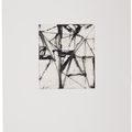 Brice Marden — Гравюры для Rexroth, изображение 20