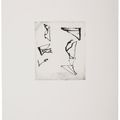Brice Marden — Гравюры для Rexroth, изображение 3