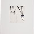 Brice Marden — Гравюры для Rexroth, изображение 22