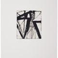 Brice Marden — Гравюры для Rexroth, изображение 23