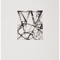 Brice Marden — Гравюры для Rexroth, изображение 24