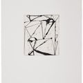 Brice Marden — Гравюры для Rexroth, изображение 25