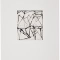 Brice Marden — Гравюры для Rexroth, изображение 26
