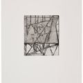 Brice Marden — Гравюры для Rexroth, изображение 27