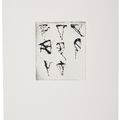 Brice Marden — Гравюры для Rexroth, изображение 4