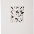 Brice Marden — Гравюры для Rexroth, изображение 6