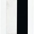Brice Marden — Десять дней, изображение 4