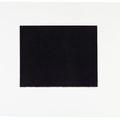 Brice Marden — Десять дней, изображение 9
