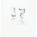 Brice Marden — Гравюры для Rexroth, изображение 2