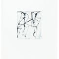 Brice Marden — Гравюры для Rexroth, изображение 11