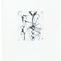 Brice Marden — Гравюры для Rexroth, изображение 13