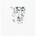 Brice Marden — Гравюры для Rexroth, изображение 14