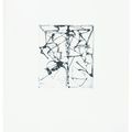 Brice Marden — Гравюры для Rexroth, изображение 15