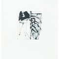 Brice Marden — Гравюры для Rexroth, изображение 16