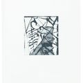 Brice Marden — Гравюры для Rexroth, изображение 17