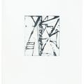 Brice Marden — Гравюры для Rexroth, изображение 20