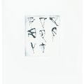 Brice Marden — Гравюры для Rexroth, изображение 3